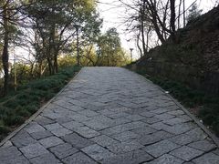 -峙山公园