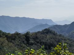 -大岭沟猕猴桃谷风景区
