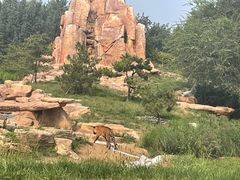 -北京野生动物园