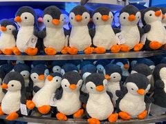 -上海海洋水族馆