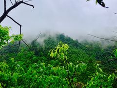 -井冈山风景名胜区