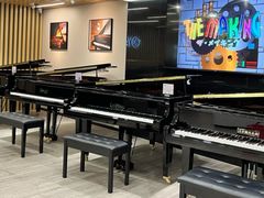 -雅马哈乐器专卖店(广州旗舰店)