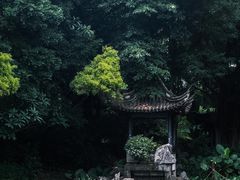 -深圳国际园林花卉博览园