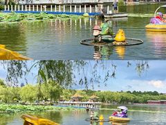 -长春市南湖公园