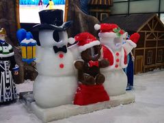 -世界之窗阿尔卑斯冰雪世界