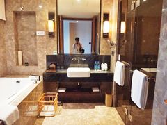 -河源万绿湖美思威尔顿酒店