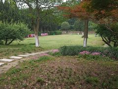 -白马涧龙池景区