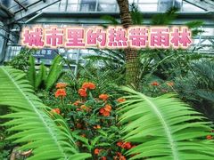 -国家植物园南园