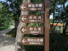 -阳台山自然风景区