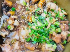 -红星光发煲仔饭(大石街店)
