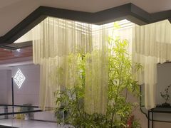 -绿杨春·淮扬宴(庐山路店)