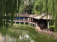 -团结湖公园
