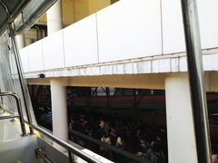 -南丫岛