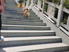 -鸡鸣山旅游景区