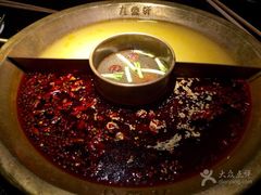 -九鼎轩脆毛肚火锅(商业街店)