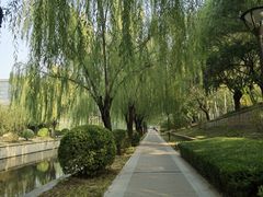 -元大都城垣遗址公园
