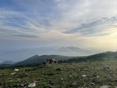 -灵山