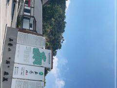 -玉苍山国家森林公园