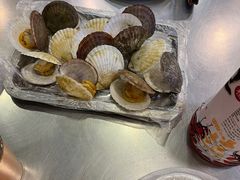 煮扇贝-腾格勒烤羊腿