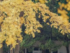 -苏州碑刻博物馆