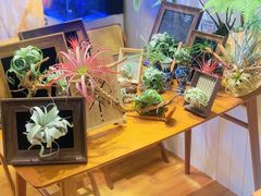 -Rabbit Cafe私房西餐甜点咖啡(栖霞路店)