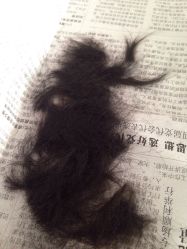 -龙文宝贝上门婴儿理发满月剃胎毛(总店)