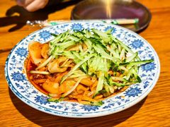 -柴窝堡22号辣子鸡·传承新疆菜