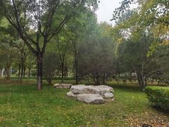 -燕郊植物园