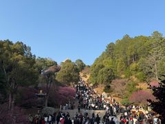 -庐山风景名胜区-东林大佛