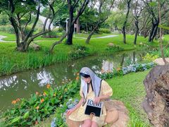 -人民公园(罗湖区)