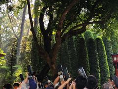 -烈士陵园(地铁站)