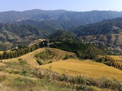 -龙脊梯田