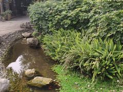-安仁古镇