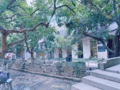 -小洲村