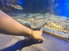 -太平洋海底世界