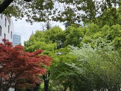 -上海浦东假日酒店
