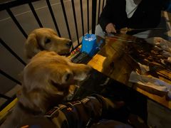 -新疆阿力烧烤