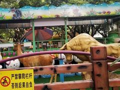 -晓港公园
