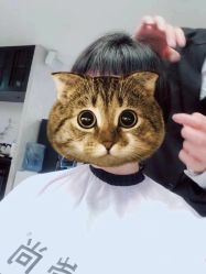 -崇尚GAVIN STYLE