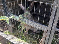 -小鱼草莓采摘园农家乐·小鱼餐厅