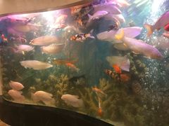 -红莲中餐厅(日航饭店)