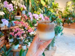 -自由生长植物工作室(深港花卉中心店)