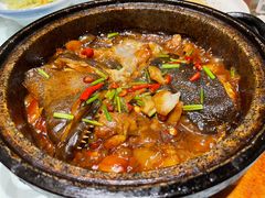 经典石锅碟鱼头-船家渔(徐州北路店)