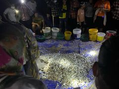 -三亚海棠湾万丽度假酒店