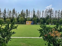 -前小桔亲子创意农场·草莓采摘·露营烧烤