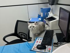 -萌兽医馆·绝育·24小时内科·宠物医院(德胜店)
