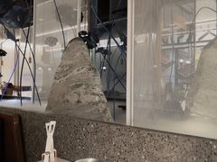 -新辣道鱼火锅(航天万源店)