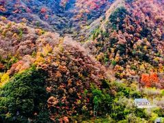 -秦岭风景区