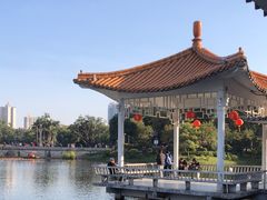 -荔湾湖公园