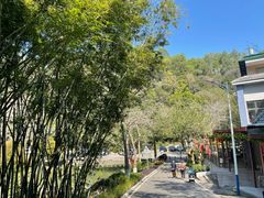 -火炉山森林公园